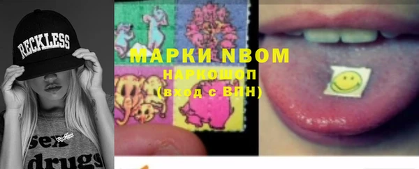 прущие грибы Надым