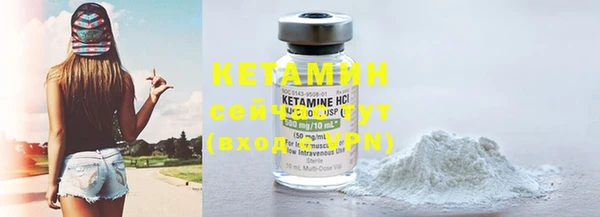 прущие грибы Надым