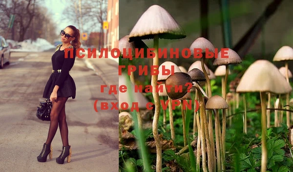 тгк Нефтегорск
