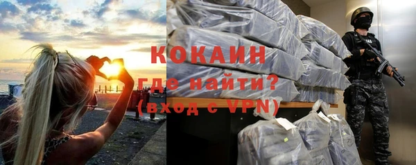 прущие грибы Надым