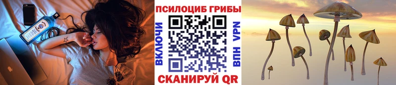 мориарти наркотические препараты  Олонец  Псилоцибиновые грибы MAGIC MUSHROOMS 
